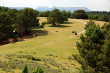 Spain-Central Spain-El Cid Discovery Ride in Castile